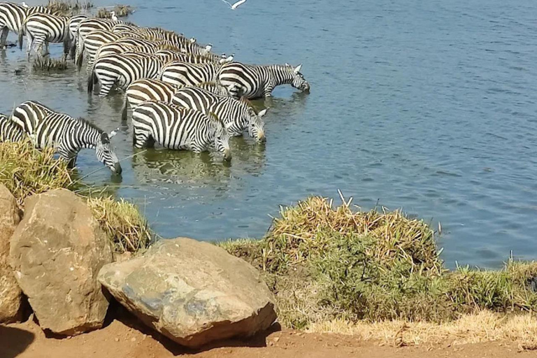 Nairobi National Park Luxury Picnic Game Drive