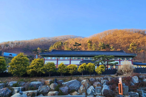 Amazing Gyeonggi: Private Tour with Driver and Premium Van