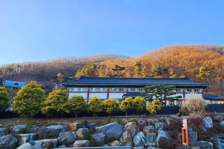 Amazing Gyeonggi: Private Tour with Driver and Premium Van