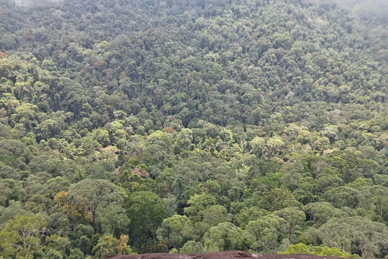 Sinharaja Rainforest Bird watching walking Tour