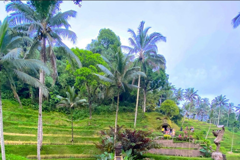 Ubud: Waterfalls, Water Temple, Rice Terrace, Private tours tour without entrance ticket - private tour