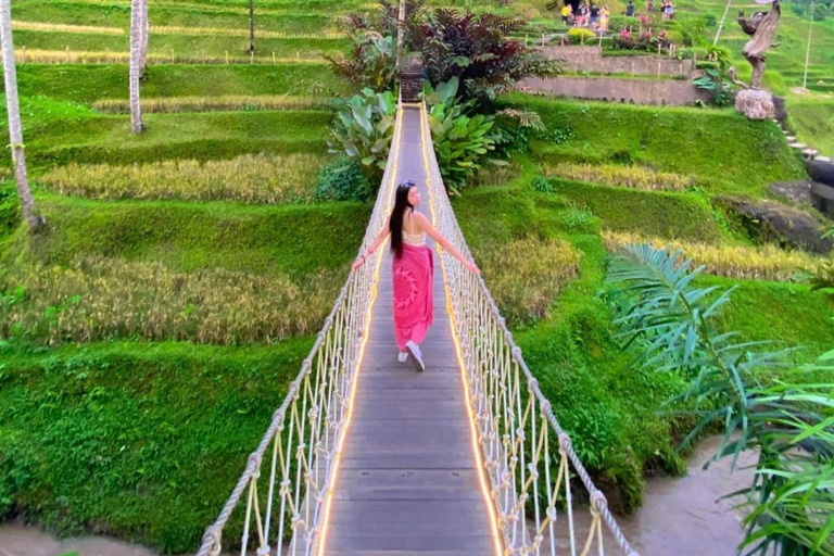 Ubud: Waterfalls, Water Temple, Rice Terrace, Private tours tour without entrance ticket - private tour