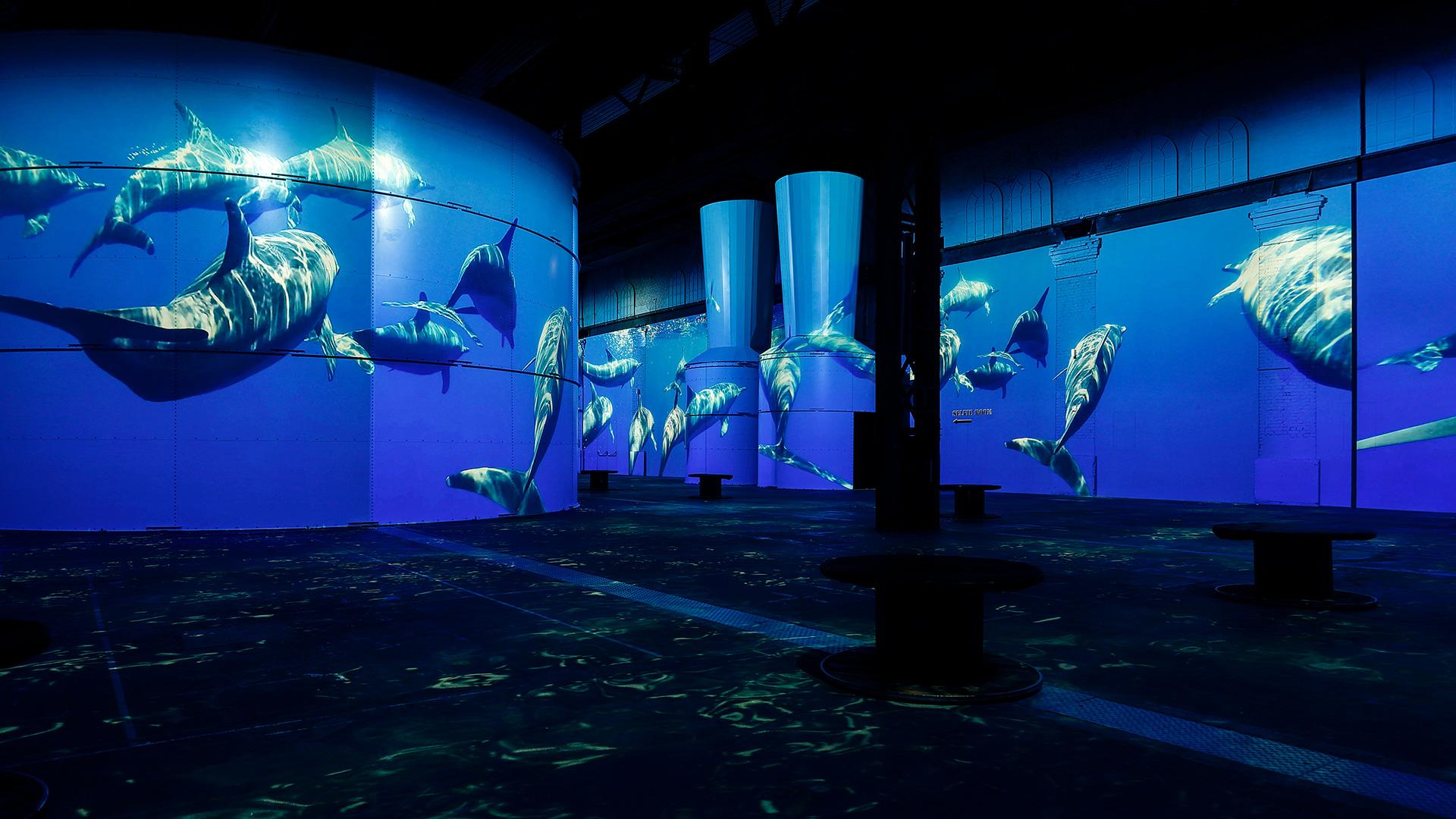 Dortmund: Ticket für die Phoenix des Lumières – Oceans