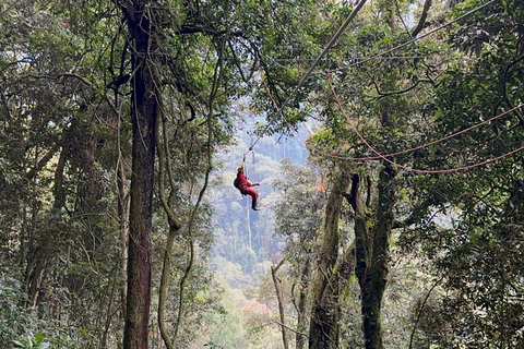 Nyungwe Forest: Zipline Adventure and Canopy Walkway