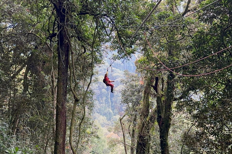 Nyungwe Forest: Zipline Adventure and Canopy Walkway