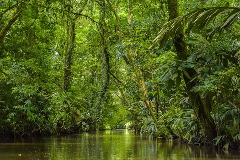 Parco Nazionale di Cahuita: Le migliori cose da fare a Cahuita Limon