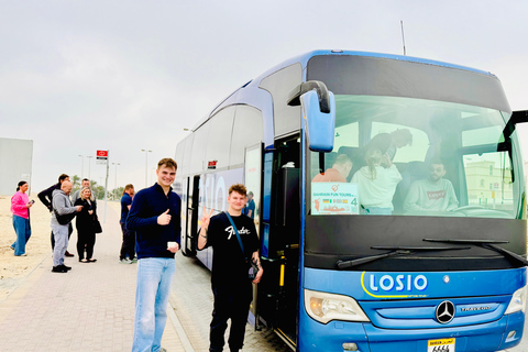 From Manama: Bahrain Full-Day Tour by Luxury Bus