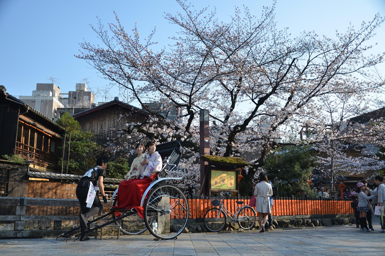 Entdecke Nara, Kiyozumi-dera &amp; Fushimi Inari von Osaka aus