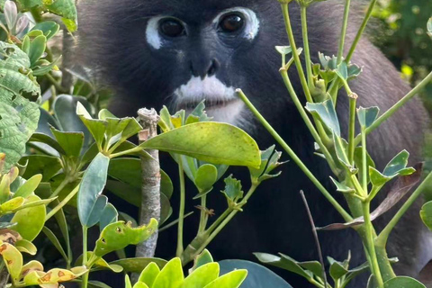 Penang: Penang Hill Sunrise Tour with Morning Market Visit