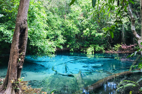 Krabi: Halvdagstur till Smaragdpoolen och vattenfallet Hot Springs