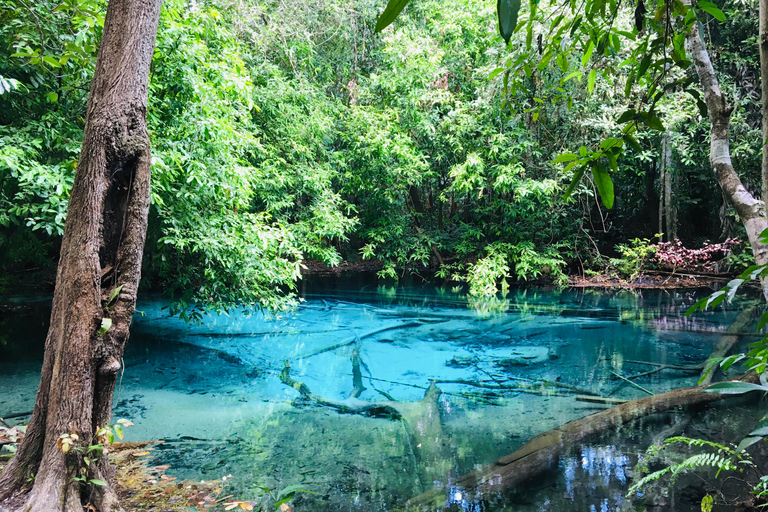 Krabi: Halvdagstur till Smaragdpoolen och vattenfallet Hot Springs