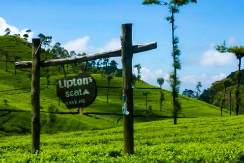 Od Elli: Tuk-Tuk Tea Adventure: Lipton's Seat Excursion!Z Haputale: Lipton Seat & Tea Factory, Tuk-Tuk Adventure
