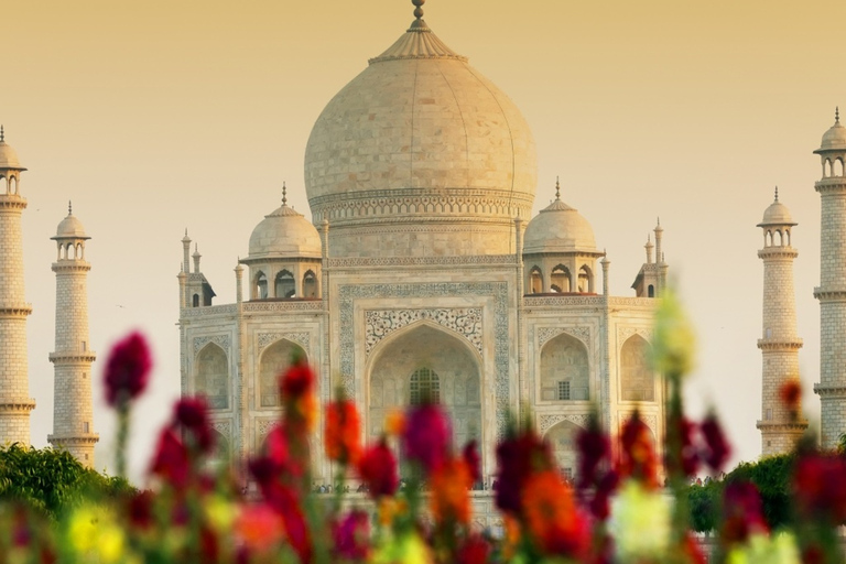 4 Night & 5 Days Golden Triangle Private Tour from Jaipur