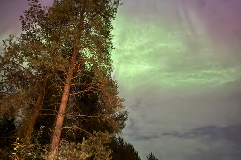 De Rovaniemi: Excursão à aurora boreal com lanches à fogueira