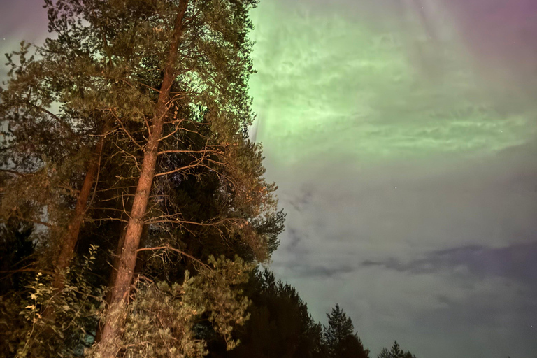 De Rovaniemi: Excursão à aurora boreal com lanches à fogueira