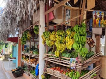 Punta Cana: Samana safari tussen watervallen en stranden