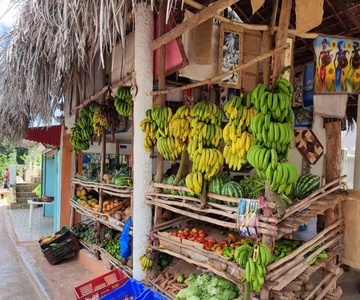 Punta Cana: Samana safari between waterfalls and beaches