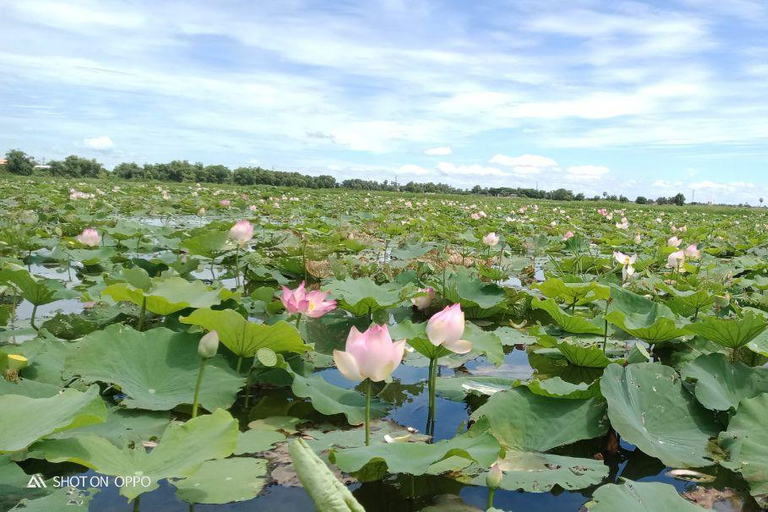 Siem Reap Lotus Silk Farm : Forfait complet avec 6 bricolages