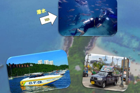 芭堤雅珊瑚岛探险之旅：芭堤雅最佳海滩度假胜地芭堤雅珊瑚岛探险之旅：芭堤雅最佳海滩之旅