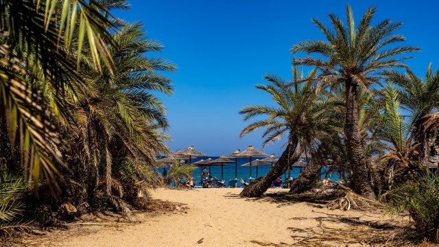 Visit Crete Heraklion: Vai Palm Beach Direct in Sitia