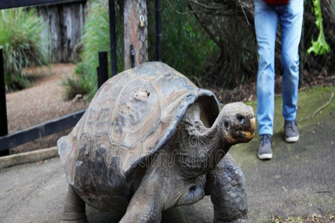 ZANZIBAR: Jozani Forest, butterfly center & Reptile park PRIVATE TOUR INCLUDES TRANSFER