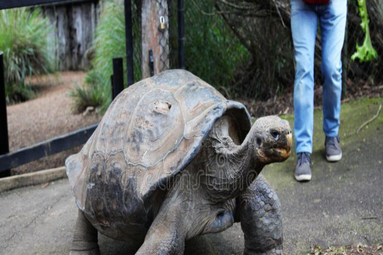 ZANZIBAR: Jozani Forest, butterfly center & Reptile park PRIVATE TOUR INCLUDES TRANSFER