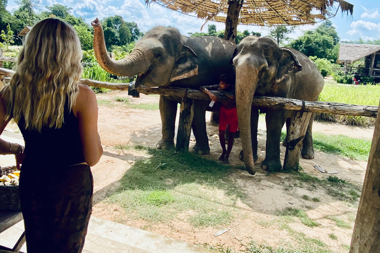 Siem Reap: Elephant Forest, Banteay Srey & Grand Circuit
