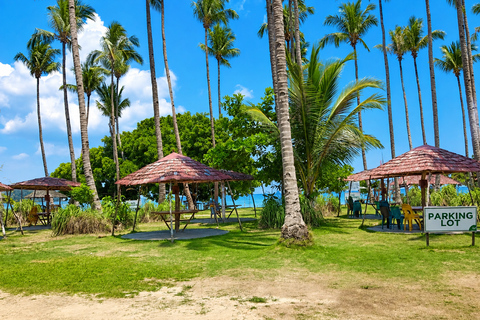 Puerto Princesa: Pakpak lauin Beach Resort Day Tour w/ Lunch