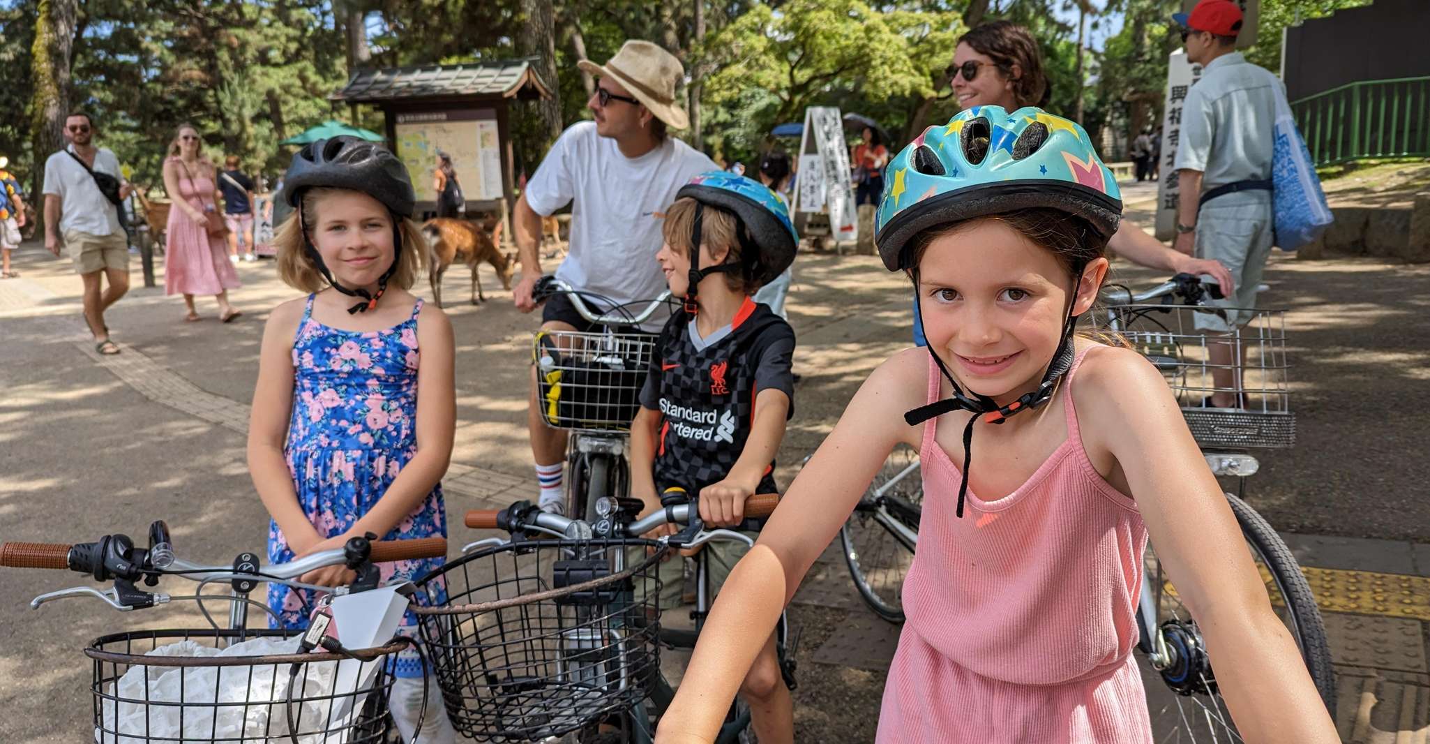 E-Bike Nara Highlights - Todaiji, Knives, Deer, Shrine photo 8