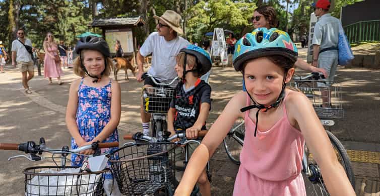 E-Bike Nara Highlights - Todaiji, Knives, Deer, Shrine photo 8