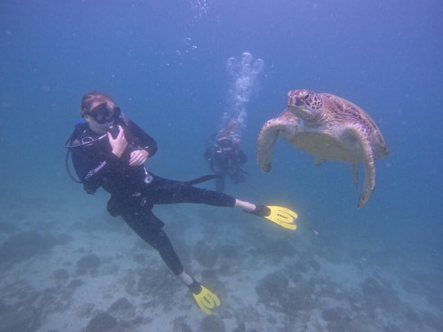 Desde Dubai: Experiencia de buceo en Fujairah para buceadores certificados