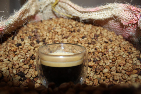 Medellín: Coffee and native bees experience