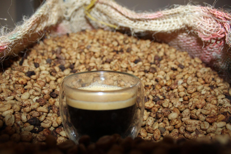 Medellín: Coffee and native bees experience