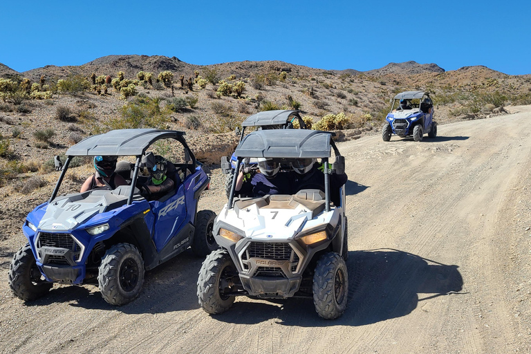Las Vegas: Passeio de RZR com adrenalina pelo Rio ColoradoVai a Las Vegas: Colorado Adrenaline RZR Tour - Conduz até ao local-