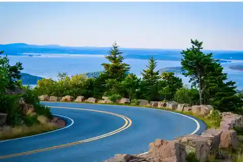 Classic Acadia: Premium Private Tour & your own local guide