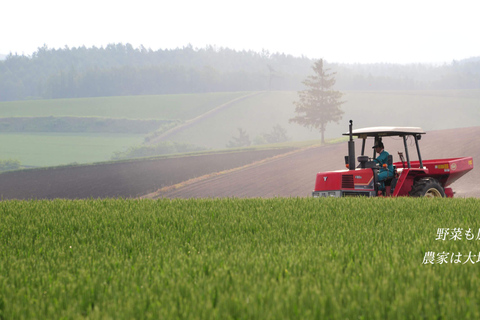 Hokkaido Summer Nature Experience: Furano & Biei