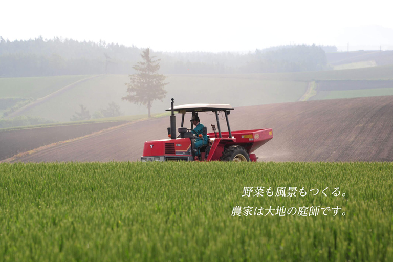 Hokkaido Summer Nature Experience: Furano & Biei