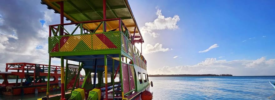 Tobago : Tour en bateau du récif corallien avec BBQ et transfert