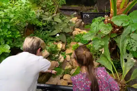 West Berkshire, Storbritannien: The Living Rainforest Centre Entrébillet
