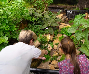 West Berkshire,UK: The Living Rainforest Centre Entry Ticket