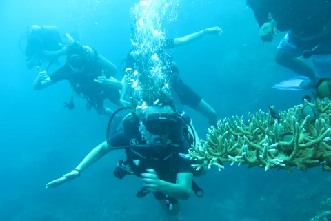 Immersione di base sull'isola di Menjangan