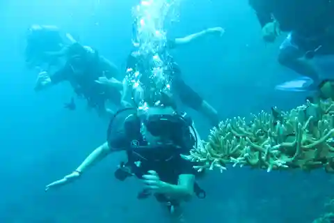 Plongée de base à l'île de Menjangan