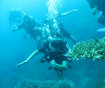 Immersione di base sull'isola di Menjangan