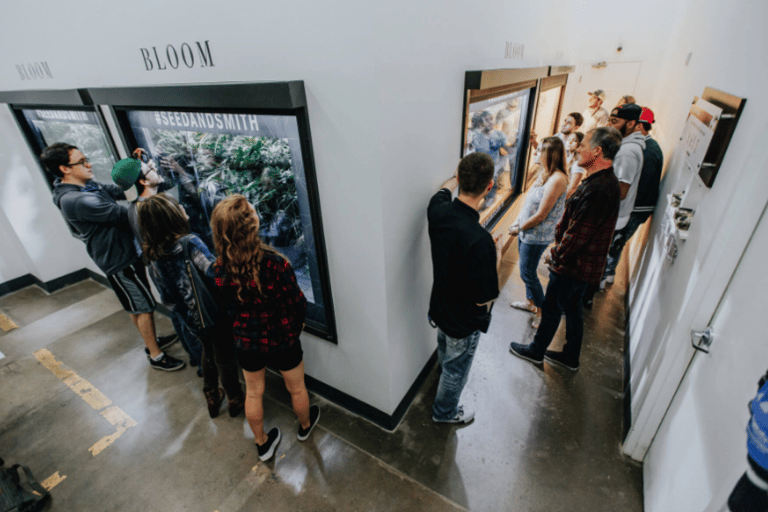 Denver : Tournée de culture du cannabis