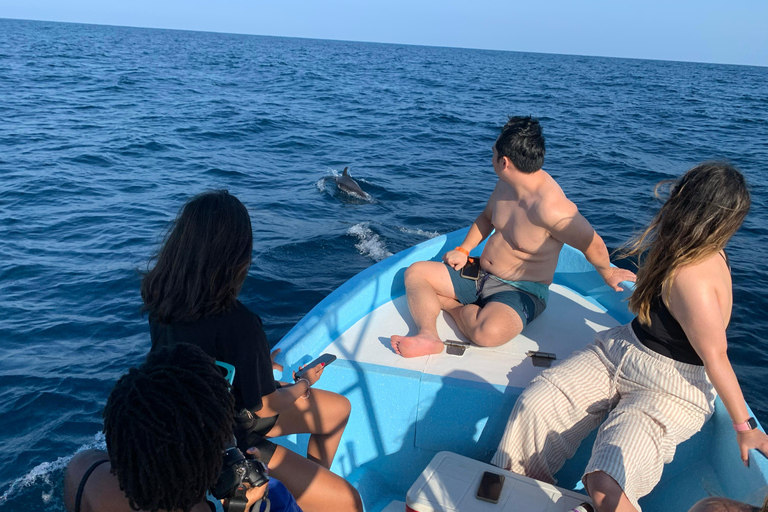 Puerto Escondido: Bootstour zu Delfinen und MeerestierenPrivate Tour