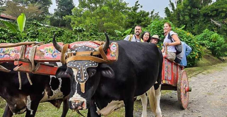 Palm Tour & Buffalo Ride in Manuel Antonio | GetYourGuide