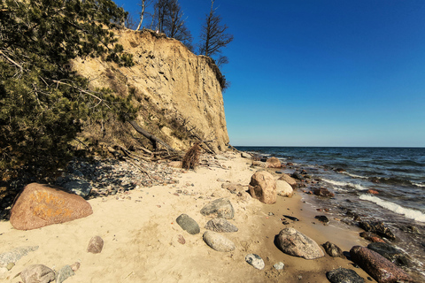 Gdynia: Forest, Cliff, and Beach Guided Walking Tour