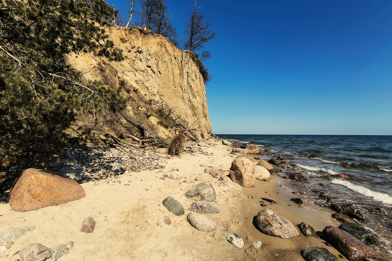 Gdynia: Forest, Cliff, and Beach Guided Walking Tour