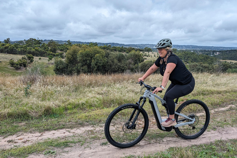 Adelaide Hills: Tour guidato in bicicletta elettrica con caffè e torta