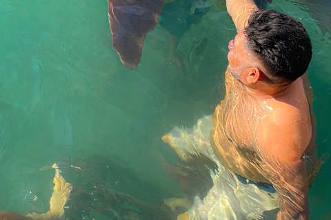 Tinti Pan - Santa Cruz del Islote - Múcura